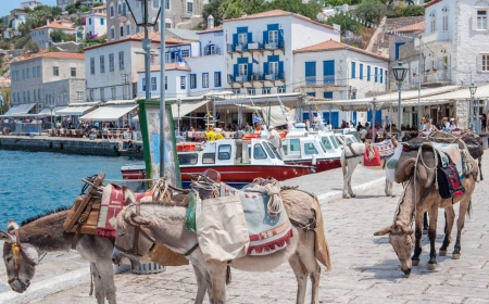 Greece 365: Athens, Meteora & Day Cruise to Poros-Hydra-Aegina (Self-guided)(4)
