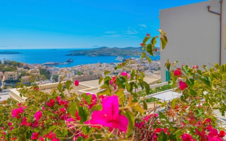 Taste of Greece: Syros Island & Athens Experience(3)